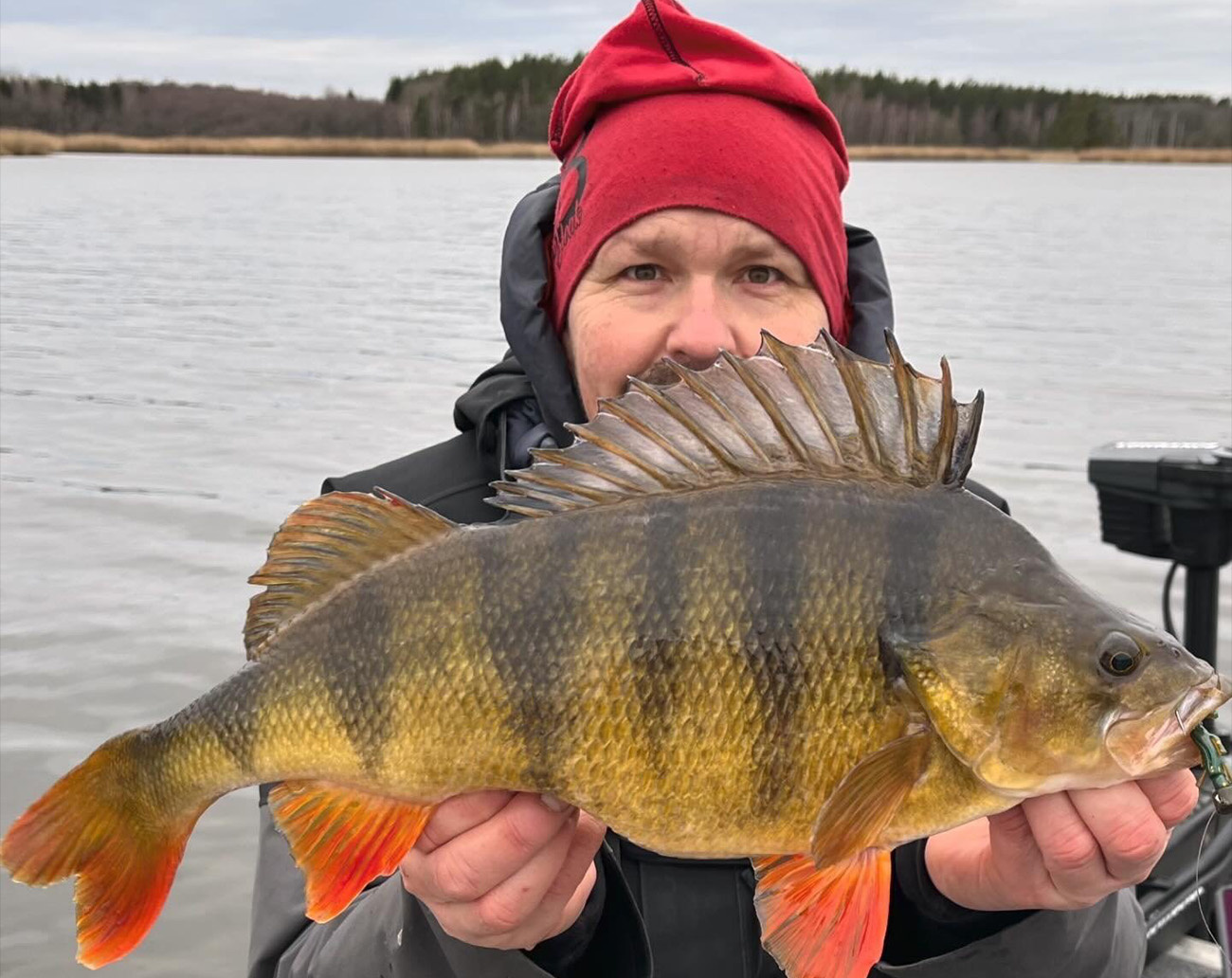 Noike Machobee 9,2cm